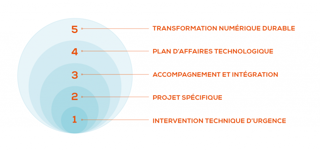 Niveaux-transformation-numerique-1024x482